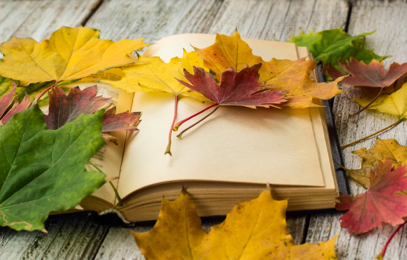 книжки для осені
